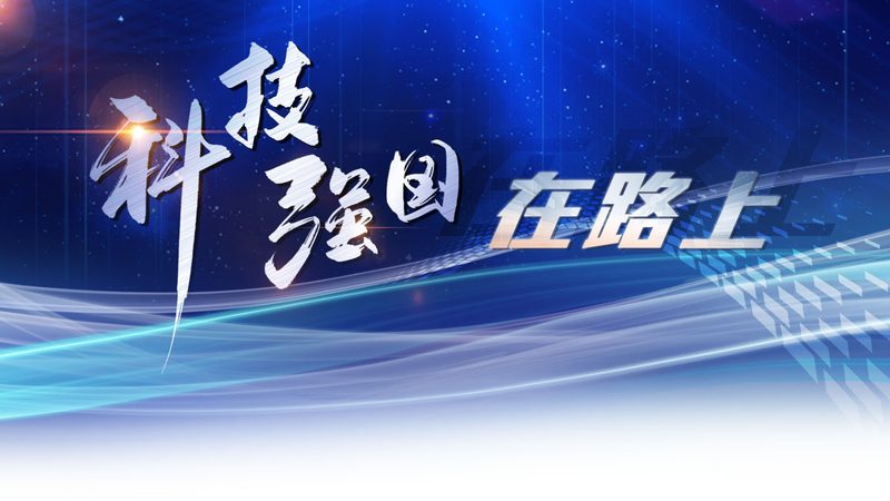 数据服务厂家：揭秘其联系方式与收费标准